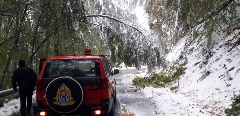 Μπάλλος: Έπεσαν δέντρα στο Βίτσι – Οδηγός απεγκλωβίστηκε από την Πυροσβεστική