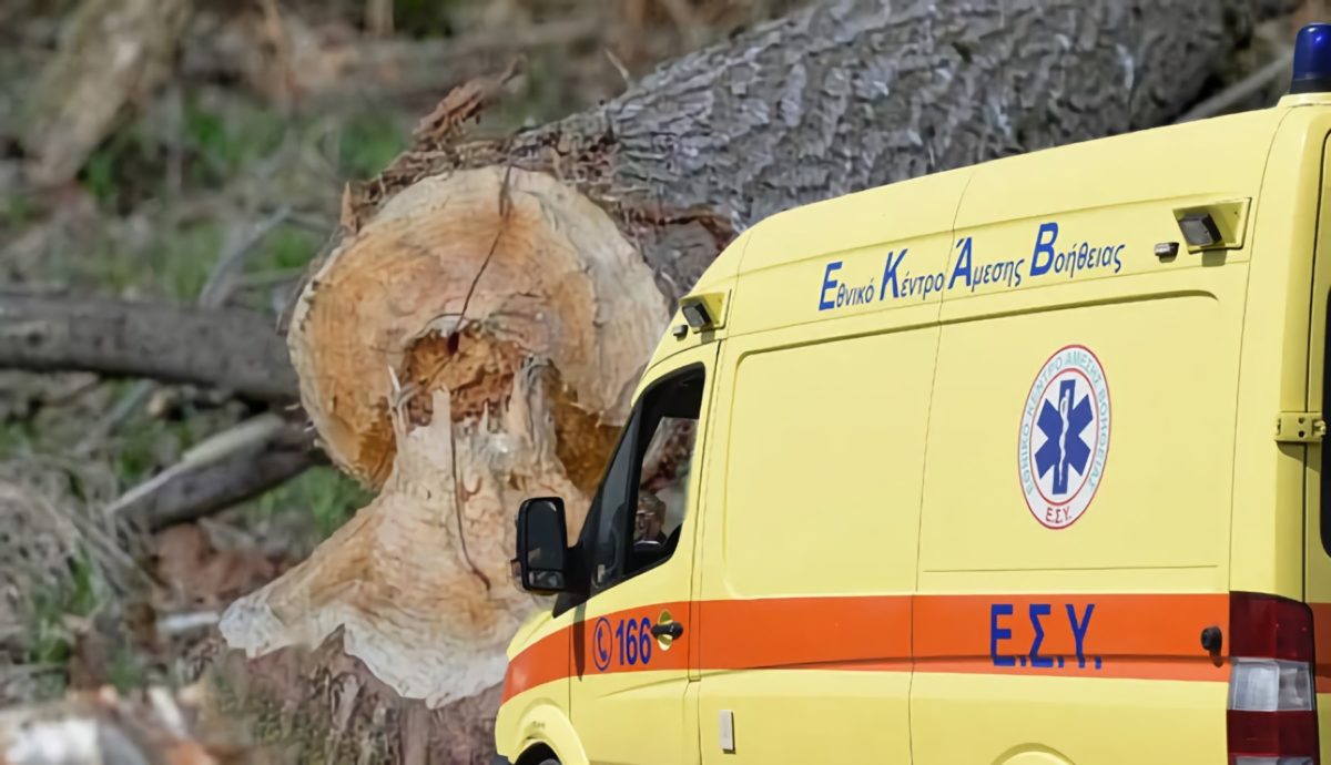 Δέντρο καταπλάκωσε κτηνοτρόφο σε αγροτική περιοχή του Τυρνάβου – Σοβαρά τραυματισμένος μεταφέρθηκε στο Πανεπιστημιακό Νοσοκομείο Λάρισας