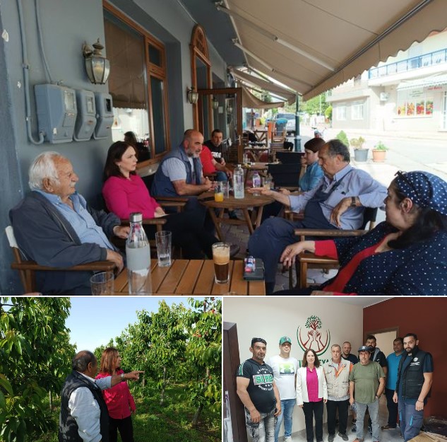 «Καλλιόπη Βέττα: Άμεση ανάγκη για αξιοποίηση όλων των εργαλείων για αποζημίωση των δενδροκαλλιεργητών της Π.Ε. Κοζάνης – Συνάντηση με αγρότες στα Κομνηνά, το Μεσόβουνο και τους Πύργους και κατάθεση ερώτησης»