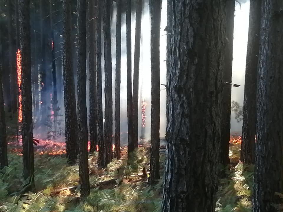  Φωτιά σε δασική έκταση στο Περιβόλι Γρεβενών (φώτο)