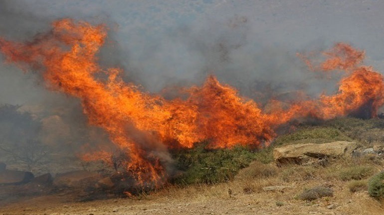Φθιώτιδα: Φωτιά σε αγροτοδασική έκταση στο Ζέλι