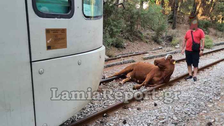 Τρένο στη Λαμία συγκρούστηκε με αγελάδα και μετά από λίγο εκτροχιάστηκε