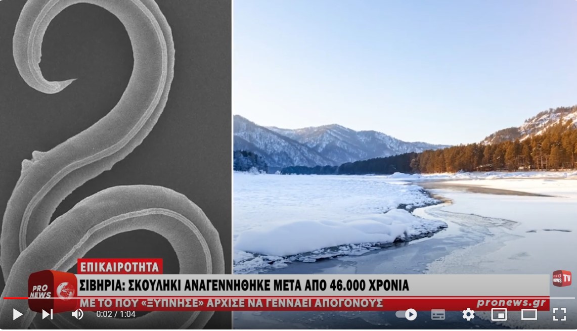  Σιβηρία: Σκουλήκι αναγεννήθηκε μετά από 46.000 χρόνια στον πάγο και άρχισε να γεννάει