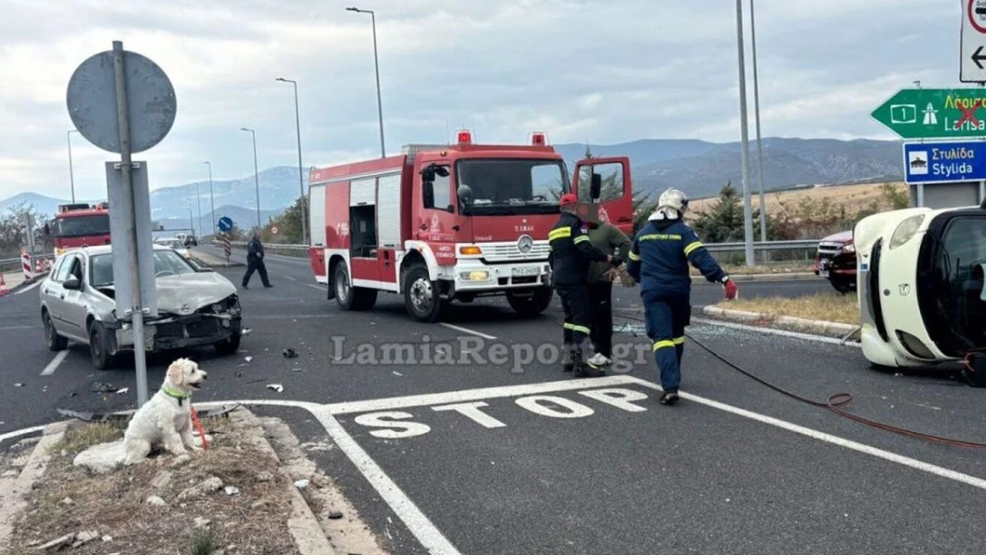 Λαμία: Νεκρός 54χρονος σε τροχαίο - Το σκυλάκι του διασώθηκε και περίμενε τον ιδιοκτήτη του δίπλα στο τρακάρισμα