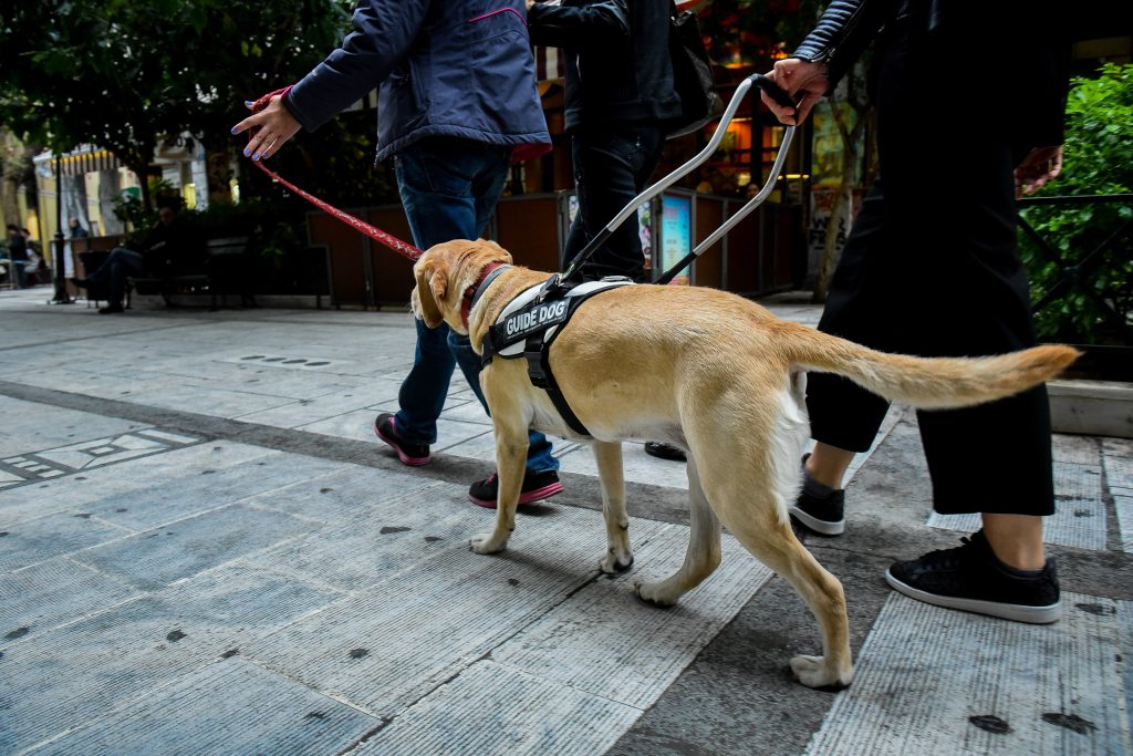 Καταδικάστηκε οδηγός ταξί που αρνήθηκε να επιβιβάσει τυφλή κοπέλα λόγω του σκύλου – Άσκησε βια στο ζώο