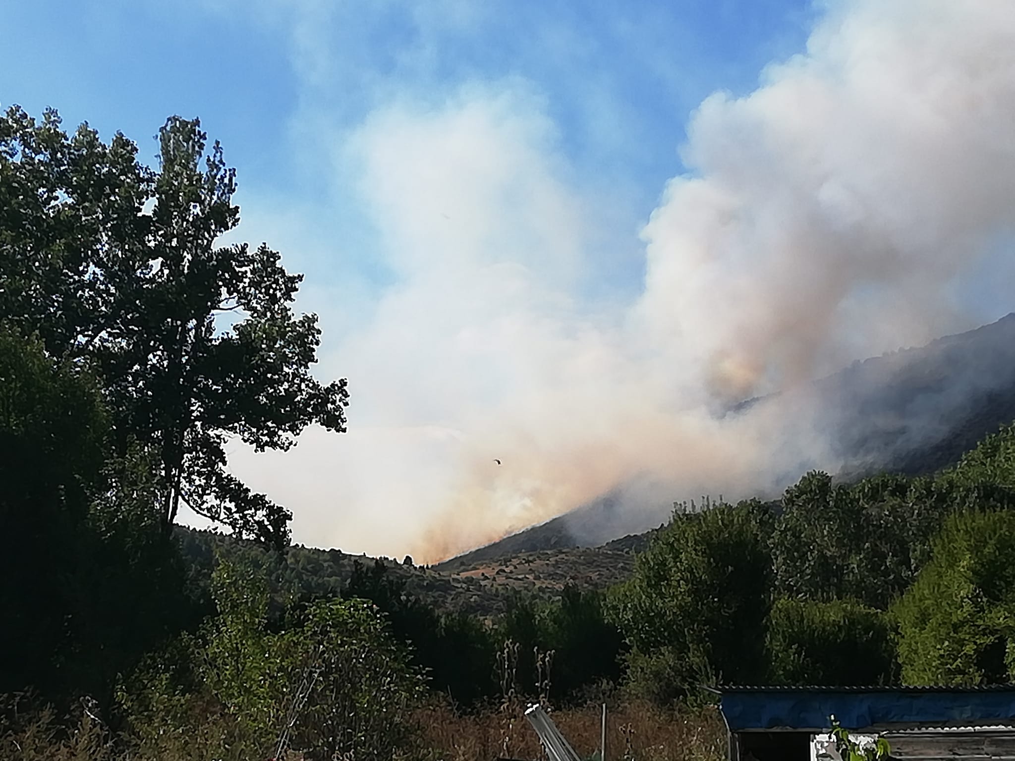 Βλάστη Εορδαίας: Πυρκαγιά βρίσκεται σε εξέλιξη στην ορεινή, δασική τοποθεσία «Καρακώστα» Βλάστης. Για την κατάσβεσή της έχουν κινητοποιηθεί ισχυρές δυνάμεις πυρόσβεσης, αλλά και δύο εναέρια μέσα που συνδράμουν με ρίψεις νερού.  Συγκεκρι