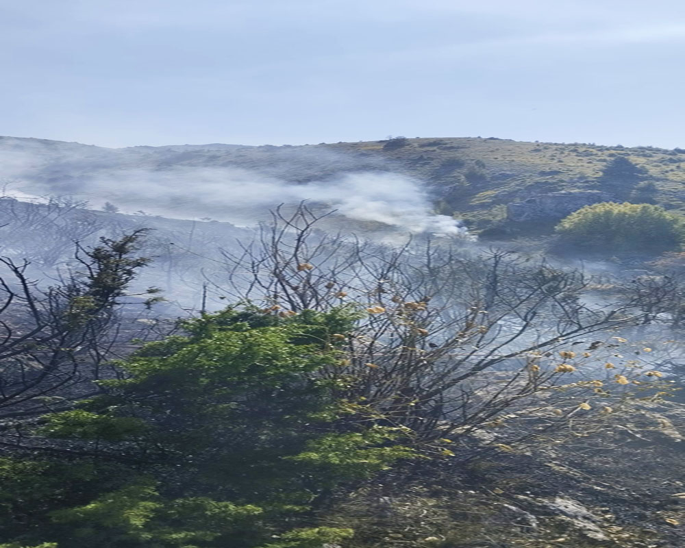 Φωτιά στις 11:45 ξέσπασε στο Βέρμιο στην κατάσβεση πήραν μέρος 6 οχήματα τίς πυροσβεστικής με 20 πυροσβέστες