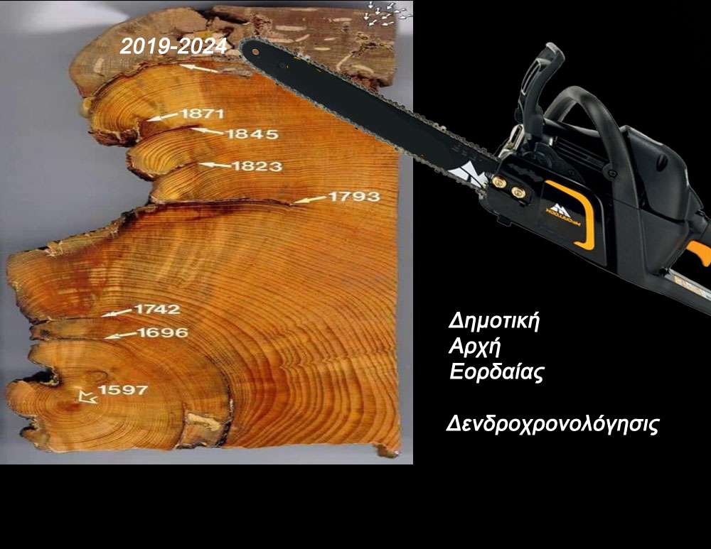 Δενδροχρονολόγησις και Δημοτική Αρχή Εορδαίας