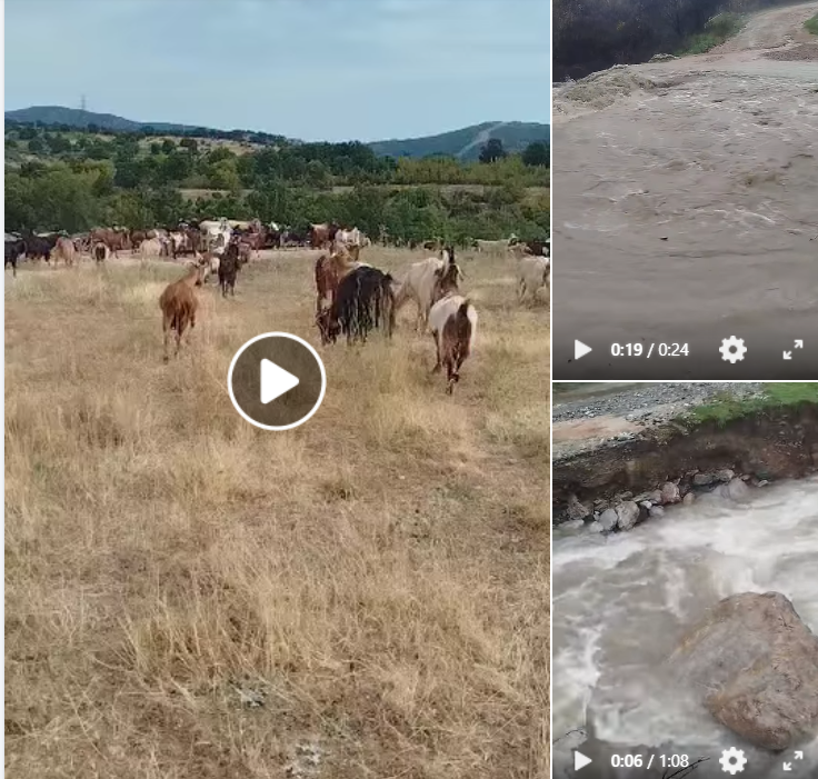 Δεινοπάθησε τις προηγούμενες ημέρες κτηνοτρόφος στους Πύργους Εορδαίας καθώς τα μεγάλα ύψη βροχής &quot;φούσκωσαν&quot; το ποτάμι και η διάβαση του, για να πάει στα ζώα του, ήταν παρακινδυνευμένη