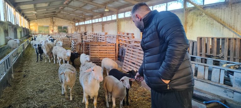 Ακριβότερο φέτος το αρνί – «Έχει χαθεί το Πάσχα για την Κοζάνη» λένε οι κτηνοτρόφοι