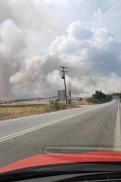 Φωτιά στα Πετρανά Κοζάνης, στο δρόμο από Κοζάνη προς Σέρβια, περί τις  3 το μεσημέρι σήμερα