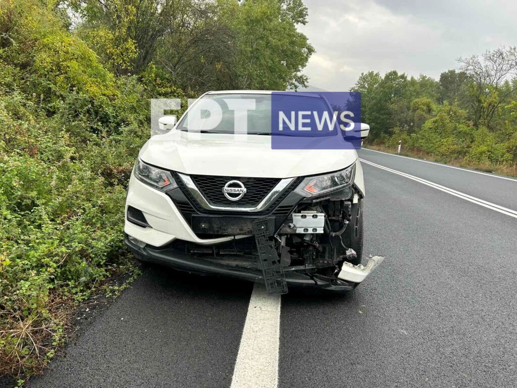 Καστοριά: Τροχαίο ατύχημα με νεκρό ζαρκάδι έξω από τους Αμπελόκηπους