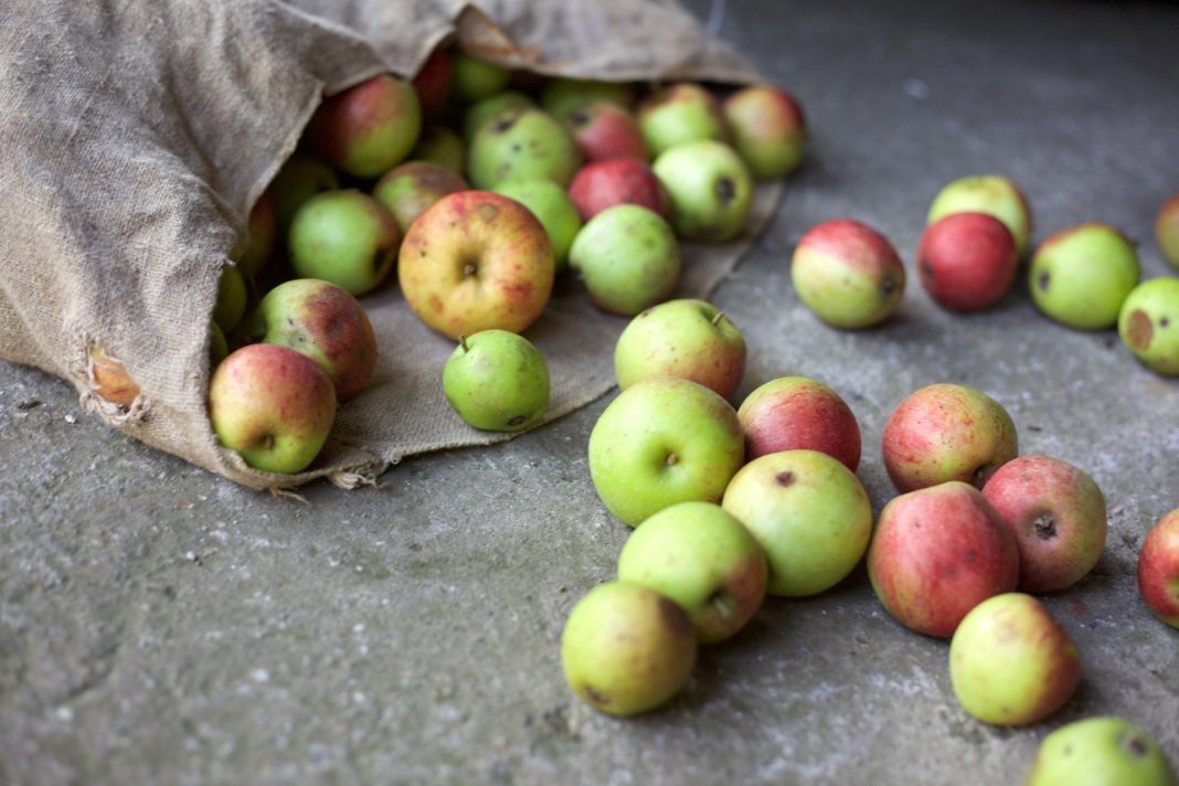 Εορδαία: Aνησυχούν οι μηλοπαραγωγοί του Βερμίου για το «μπλόκο» των εξαγωγών από την Αίγυπτο