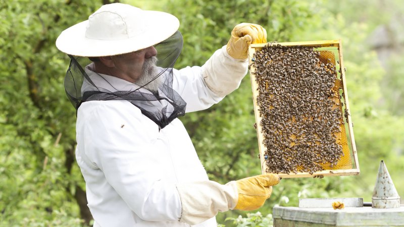 Μελισσοκομικός Σύλλογος Κοζάνης - Συλλυπητήριο μήνυμα