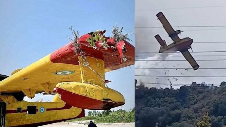 Φωτογραφία – ντοκουμέντο: Το σπασμένο φτερό του Canadair που χτύπησε σε δέντρο στη φωτιά της Ναυπακτίας