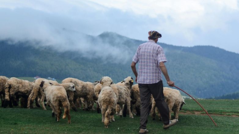  Kρήτη: Αιματηρή επίθεση σε κτηνοτρόφο – Τον πυροβόλησαν και του έκοψαν τη γλώσσα