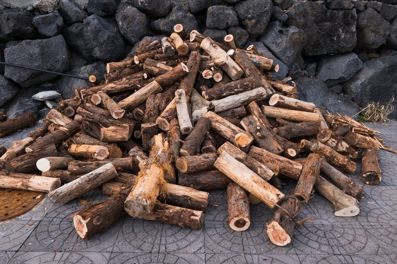 Απαγόρευση εξαγωγής ξυλείας από την Ελλάδα – Οι ημερομηνίες και τα πρόστιμα
