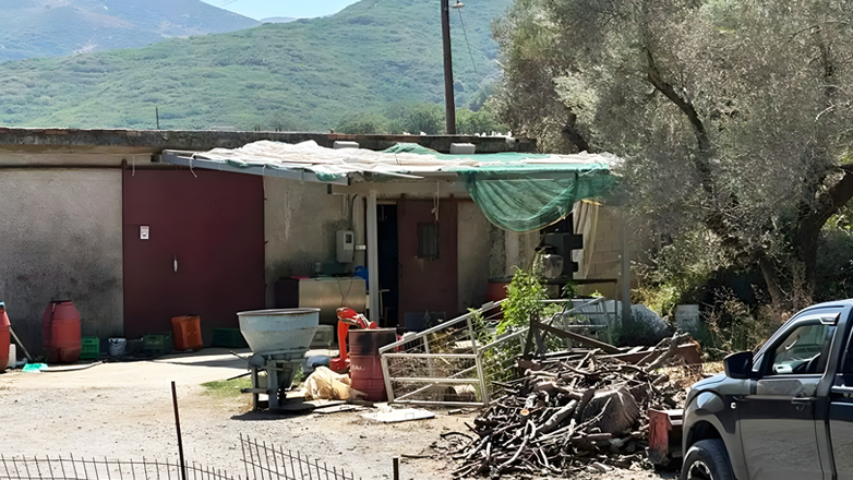  «Φώναζα και μου έκοψαν τη γλώσσα»