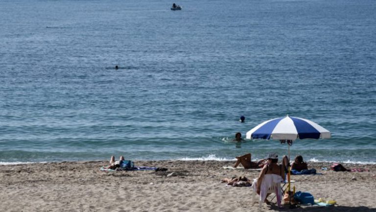 Σοκ σε παραλία του Βόλου: Φίδι δάγκωσε γυναίκα μέσα στη θάλασσα
