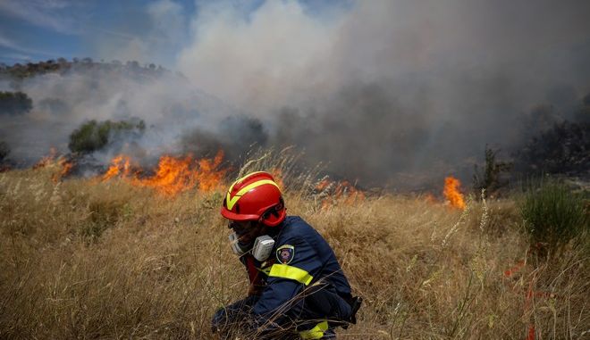 Φωτιά στην Εύβοια: Εκκενώνεται το χωριό Κρεμαστός - Ενισχύονται οι δυνάμεις
