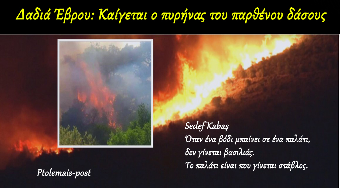 Δαδιά Έβρου: Καίγεται ο πυρήνας του παρθένου δάσους