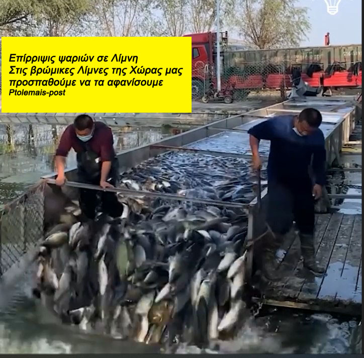 Επίρριψις ψαριών σε Λίμνη (βίντεο)