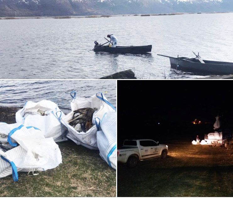 Στην απομάκρυνση 136 νεκρών πελεκάνων και 1 κύκνου από τις λίμνες Ζάζαρη και Χειμαδίτιδα προχώρησε το Σάββατο 19 Μαρτίου ο ΑΡΚΤΟΥΡΟΣ σε