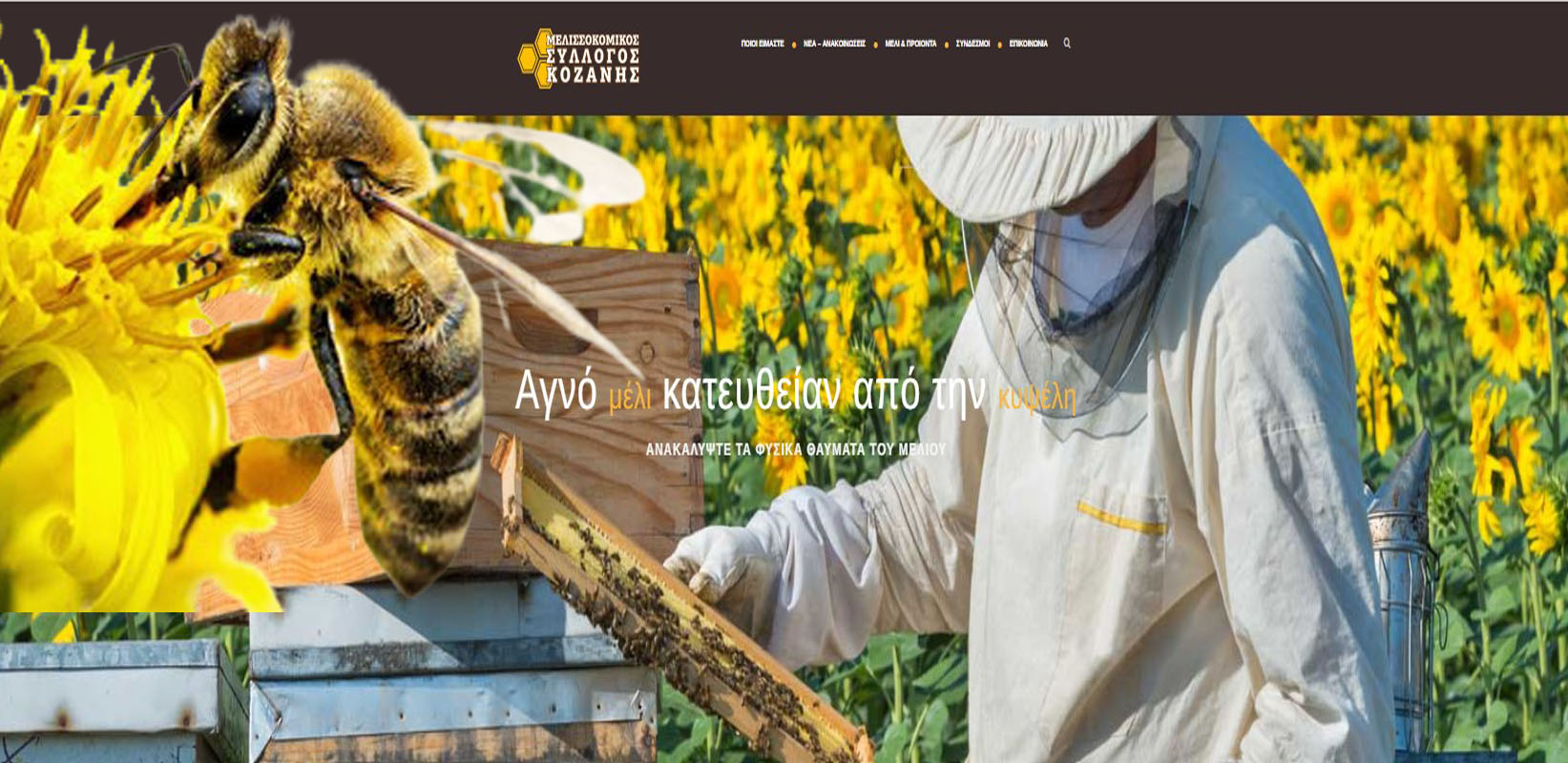 Μελισσοκομικός Σύλλογος ΠΕ Κοζάνης – Κέντρο Μελισσοκομίας Δυτικής Μακεδονίας  Δελτίο τύπου - Οδηγίες προς Αγρότες και Μελισσοκόμους   