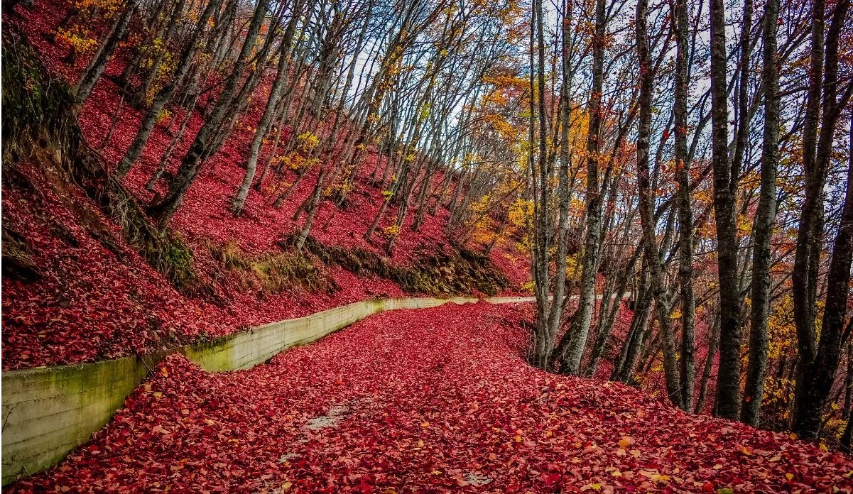 Τρία μαγευτικά φθινοπωρινά road trip στην ορεινή Δυτική Μακεδονία