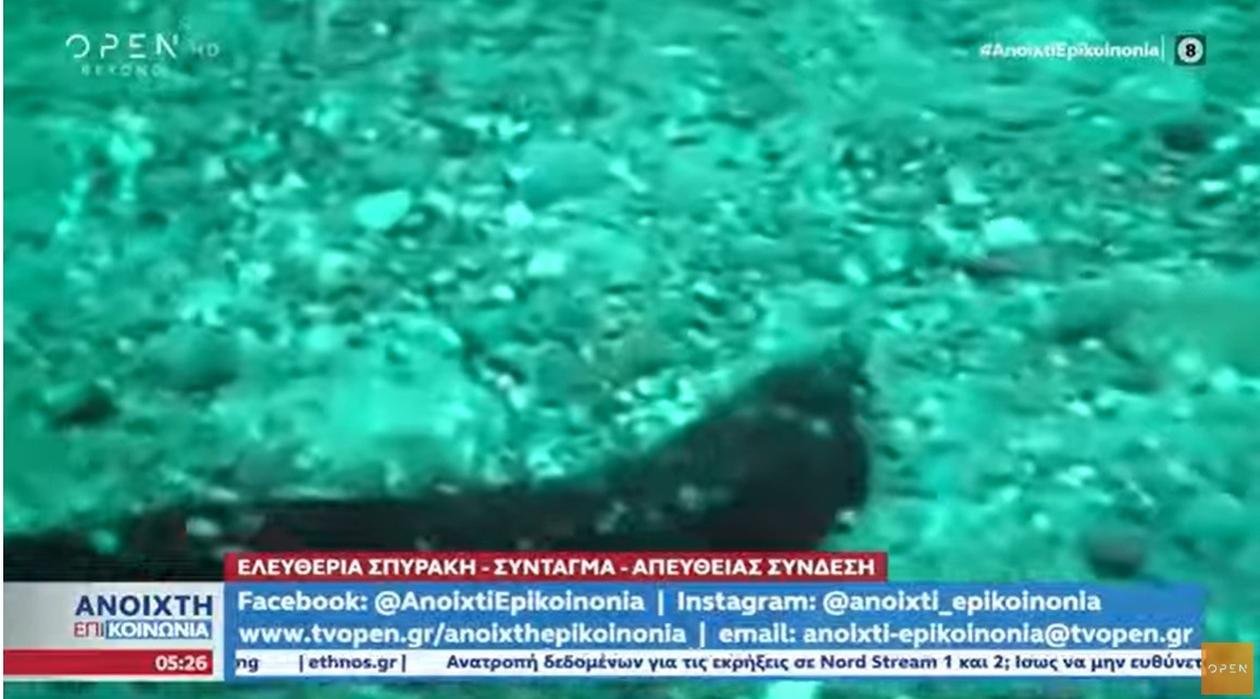 Κατασχέθηκαν 700 κιλά «αγγούρια της θάλασσας» στην Κυλλήνη