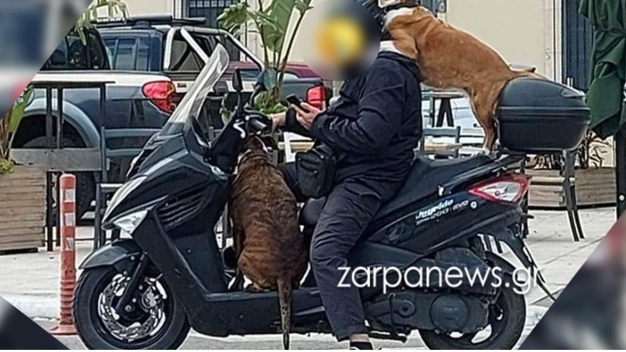Χανιά | Πρόστιμο 1.500 ευρώ σε οδηγό για τρικάβαλο με δύο σκύλους – «Δεν είναι επικίνδυνο» λέει ο ίδιος