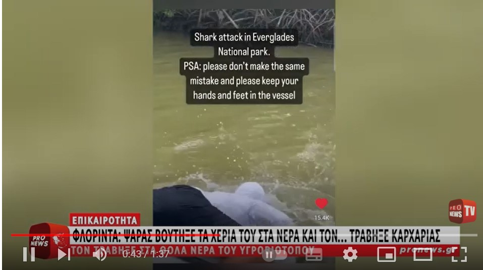 Φλόριντα: Ψαράς βούτηξε τα χέρια του στα νερά και τον… τράβηξε καρχαρίας