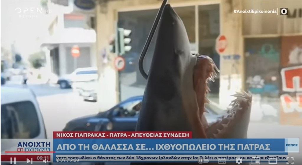 Μικροί καρχαρίες πιάστηκαν σε Κυλλήνη και Ναύπλιο