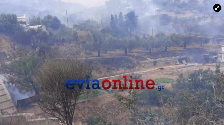 Φωτιά στην Κάρυστο: Εκκενώθηκαν δύο χωριά, απειλούνται σπίτια και στάβλοι - Δείτε βίντεο