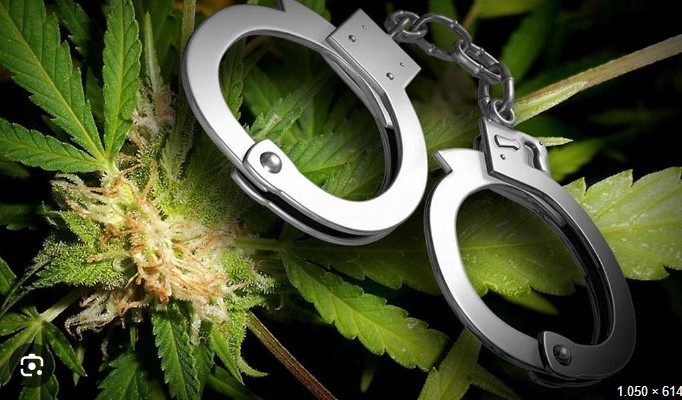 Στο πλαίσιο συνεχιζόμενων δράσεων για την καταπολέμηση της διάδοσης των ναρκωτικών ουσιών, συνελήφθησαν συνολικά -6- άτομα κατά το τελευταίο δωδεκαήμερο από 31 Ιανουαρίου έως 11 Φεβρουαρίου 2024,