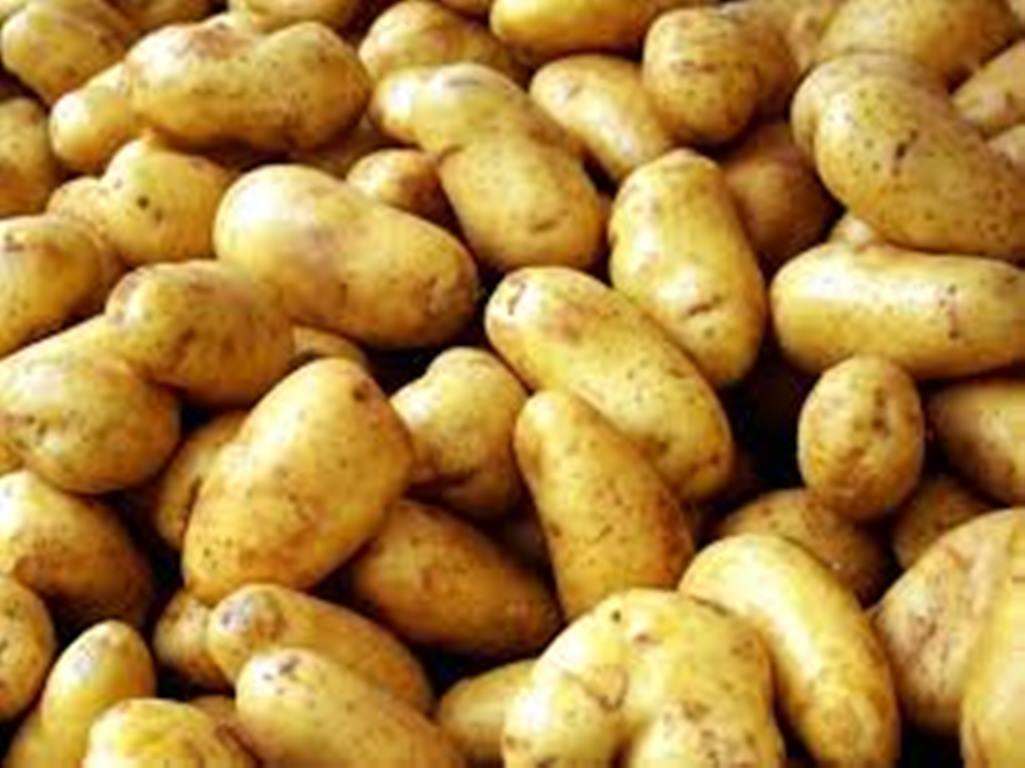 Η τιμή της πατάτας στην Εορδαία και η γκρίνια των παραγωγών