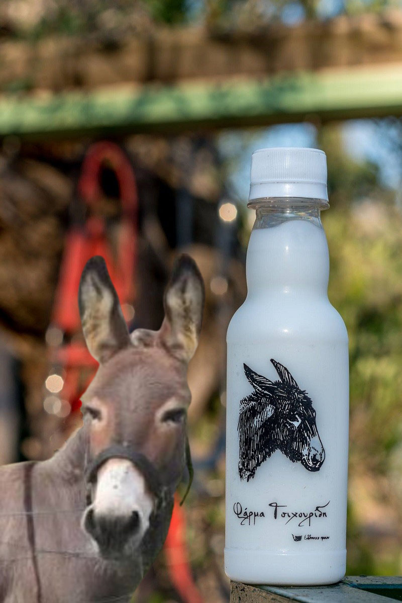   Ήξερες ότι σε μια φάρμα στην Οινόη Κοζάνης παράγεται βιολογικό γάλα γαϊδούρας;