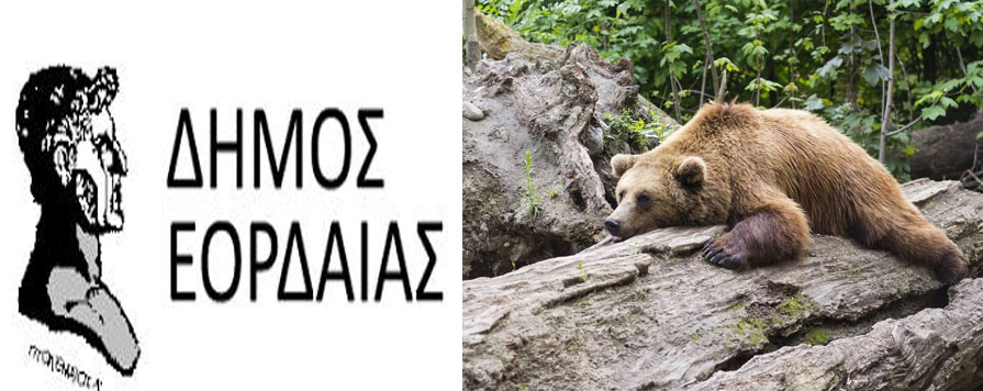 Σύγκληση της Συντονιστικής Επιτροπής Διαχείρισης περιστατικών προσέγγισης αρκούδας σε κατοικημένες περιοχές της Π.Ε. Κοζάνης ζητά ο Δήμαρχος Εορδαίας 