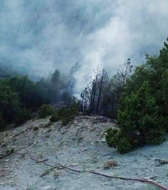 Άμεσα αντιμετωπίστηκε φωτιά στο Πεύκο του Δήμου Νεστορίου (εικόνες)