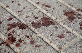 Νέα Φιλαδέλφεια: Συγκλονίζουν οι καταθέσεις μαρτύρων της δολοφονικής επίθεσης – «Με χτυπούσαν με ξύλινα στυλιάρια»