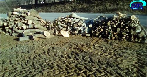 ΑΝΑΡΡΑΧΗ: ΔΕΙΤΕ ΑΛΛΑ ΚΑΙ ΑΚΟΥΣΤΕ ΤΗΝ ΚΑΤΑΓΓΕΛΙΑ ΜΙΑΣ ΣΥΝΔΗΜΟΤΙΣΣΑΣ ΜΑΣ ΓΙΑ ΤΟ ΕΓΚΛΗΜΑ ΠΟΥ ΕΓΙΝΕ ΣΤΗΝ 