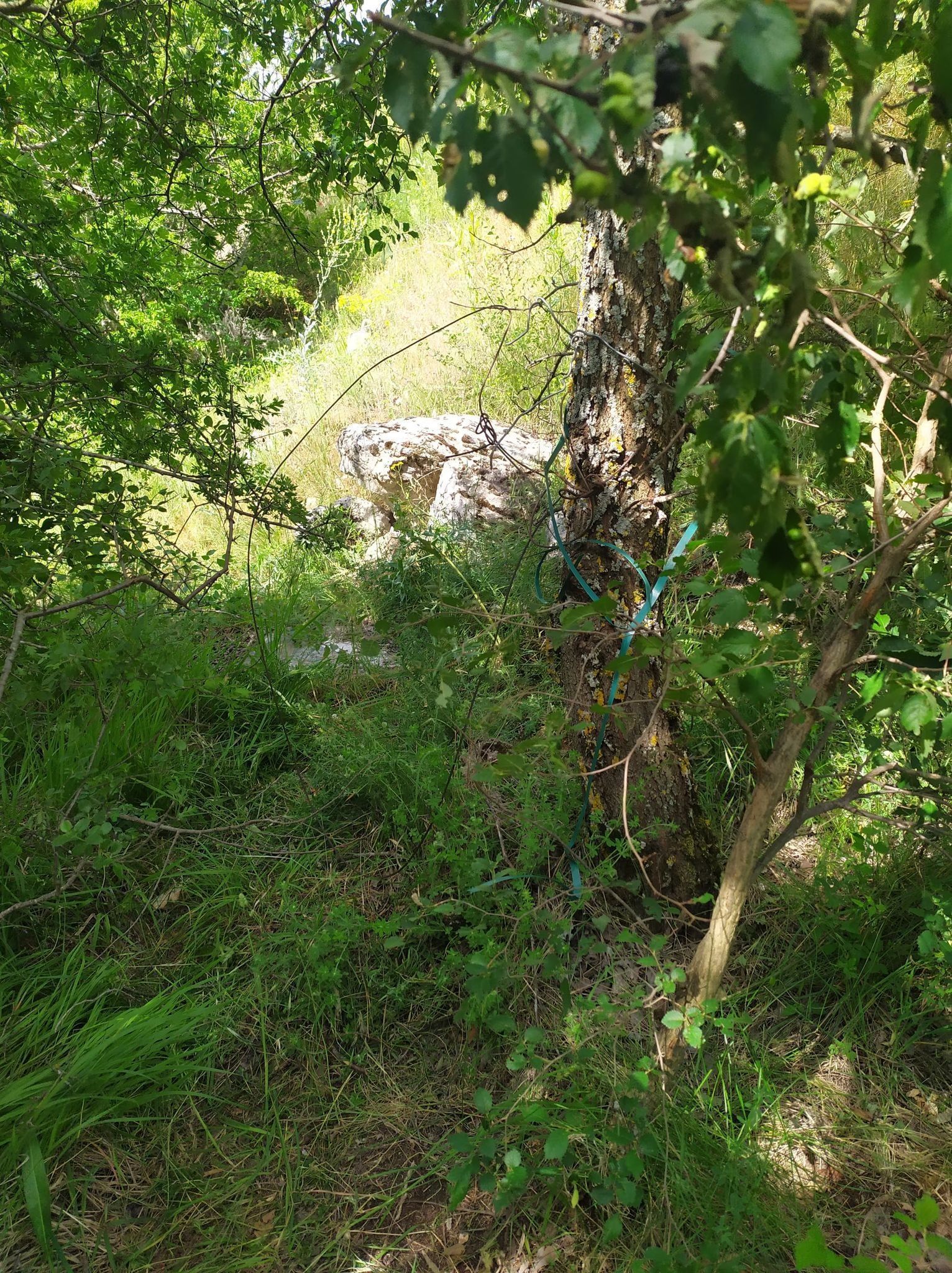 Σύλληψη υπόπτου για τοποθέτηση συρμάτινων θηλιών.