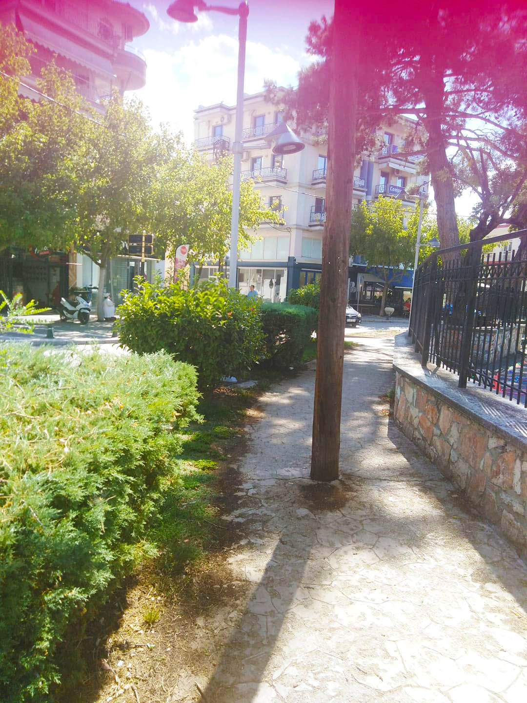 Τα παιδιά δεν έχουν φρένα - Έλλειψις ορατότητος - Πρώτο Δημοτικό Σχολείο