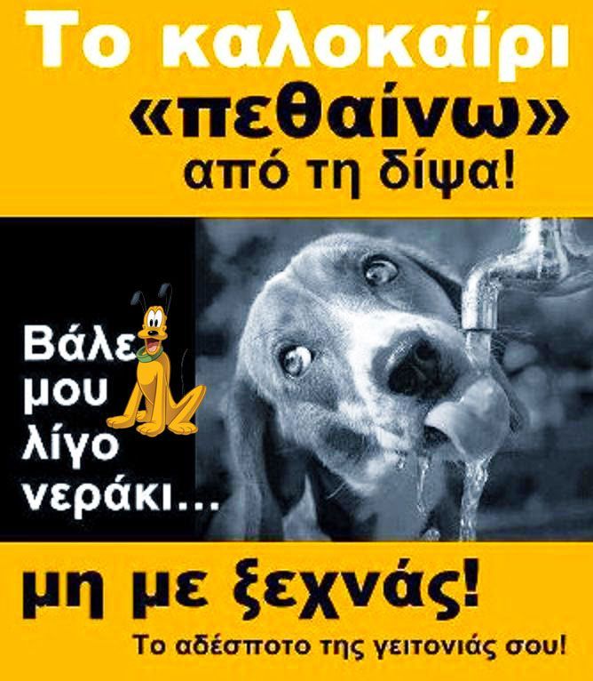 Φιλοζωικό Σωματείο Προστασίας Αδέσποτων Ζώων Πτολεμαΐδας: “Βάζουμε ένα μπολ με νερό έξω από τα σπίτια μας για τα αδέσποτα”   