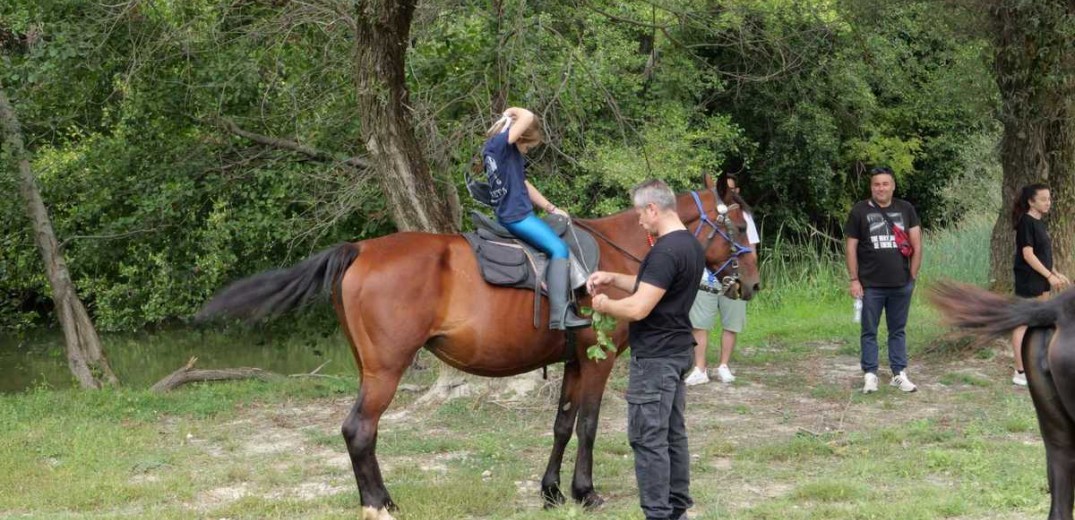 1ο Φεστιβάλ Δάσους: Δασοθεραπεία στη Δυτική Μακεδονία (φωτ.)