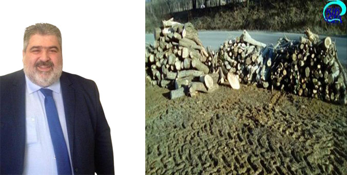 Δεν θα αφήσει δένδρο για δένδρο η Δημοτική αρχή της Εορδαίας