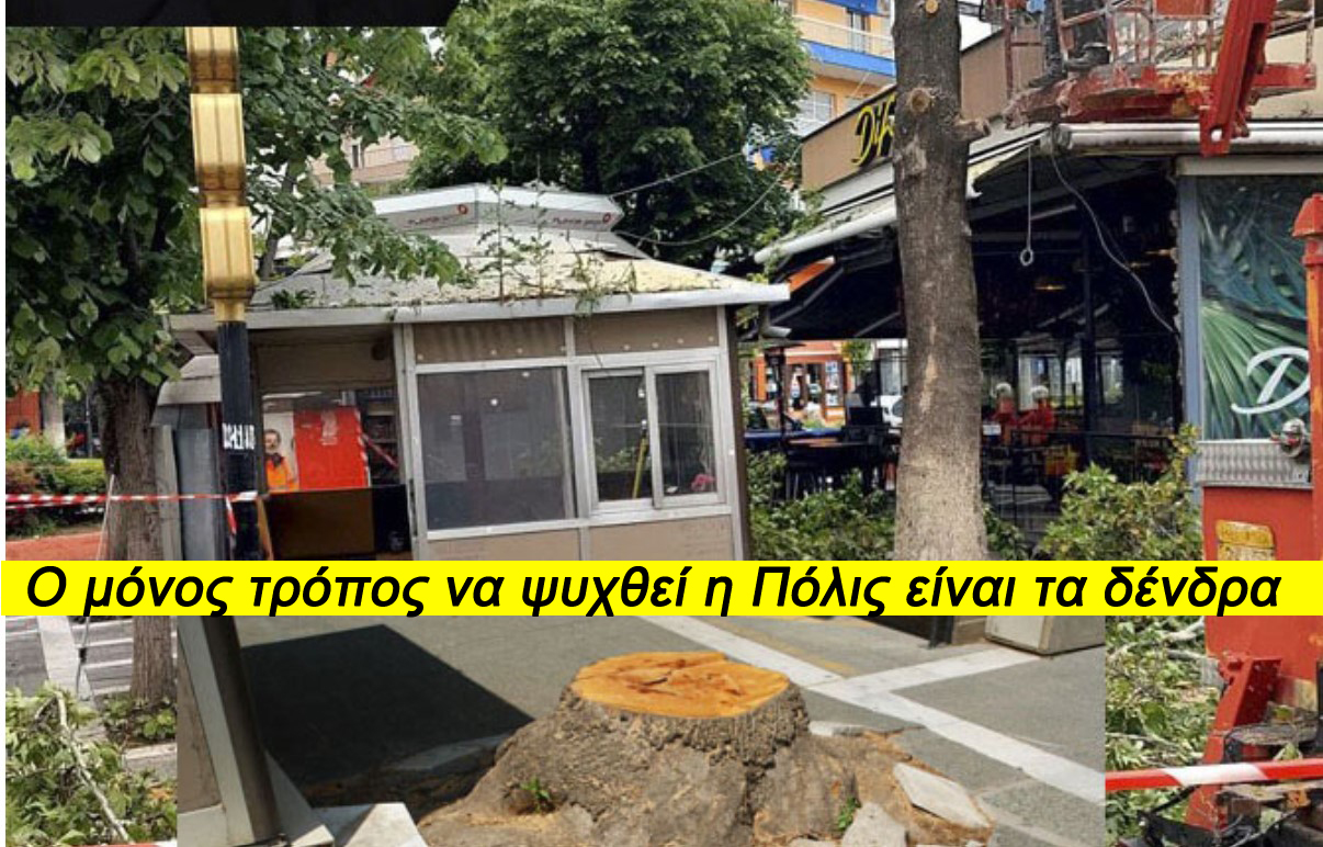 Κόψτε και ξανακόψτε δένδρα κ. Πλακεντά! Η Πτολεμαΐς δεν θα είναι κατοικήσιμη σε μερικά χρόνια!