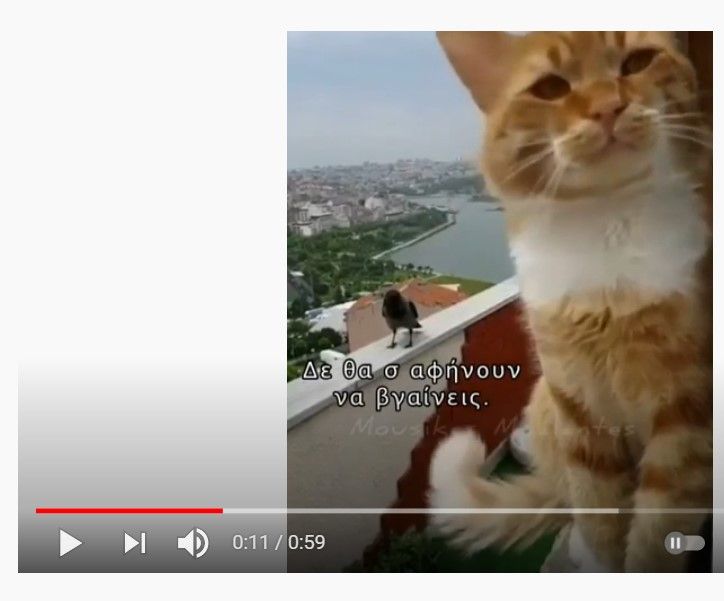 Αλιεύεσεις Δικτύου - FB