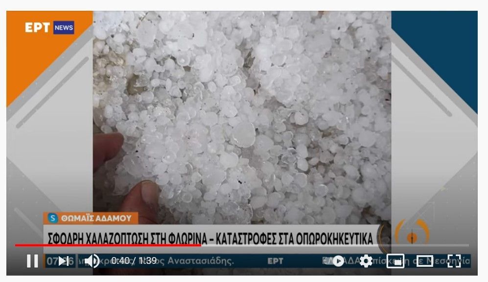 Σφοδρή χαλαζόπτωση στη Φλώρινα - Καταστροφές στα οπωροκηπευτικά