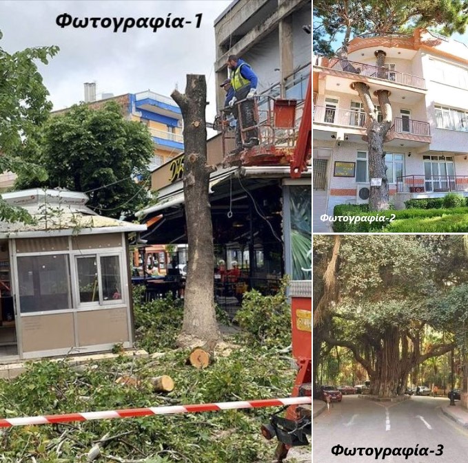 Κωτίδης Νικόλαος - Η ΑΓΑΝΑΚΤΗΣΗ ΚΑΙ ΟΙ ΑΠΟΡΙΕΣ ΕΝΟΣ ΕΝΕΡΓΟΥ ΠΟΛΙΤΗ